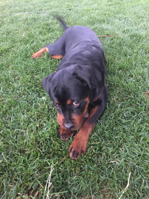 /Images/uploads/Humane Society of Utah/HSUCalendar/entries/1593thumb.jpg